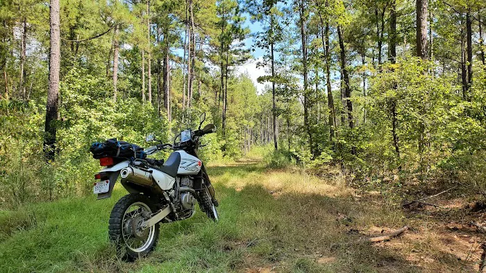 TurkeyTrot Campground Picture 3