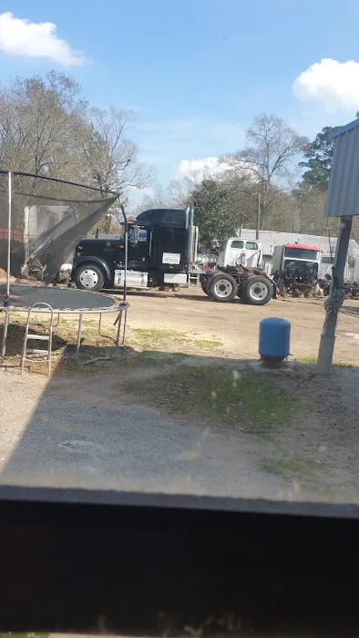 Opal Divine's Airstream Park Picture 6