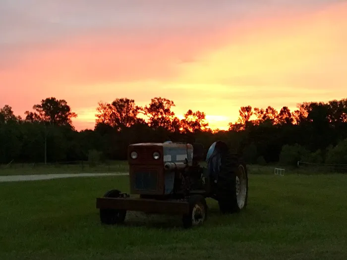 My Favorite Campground BY RESERVATION ONLY Picture 7