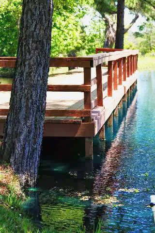 My Favorite Campground BY RESERVATION ONLY Picture 5