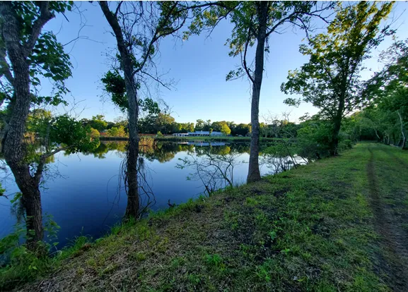 River Rock Resort Picture 1