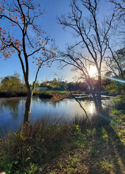 River Rock Resort Picture 10