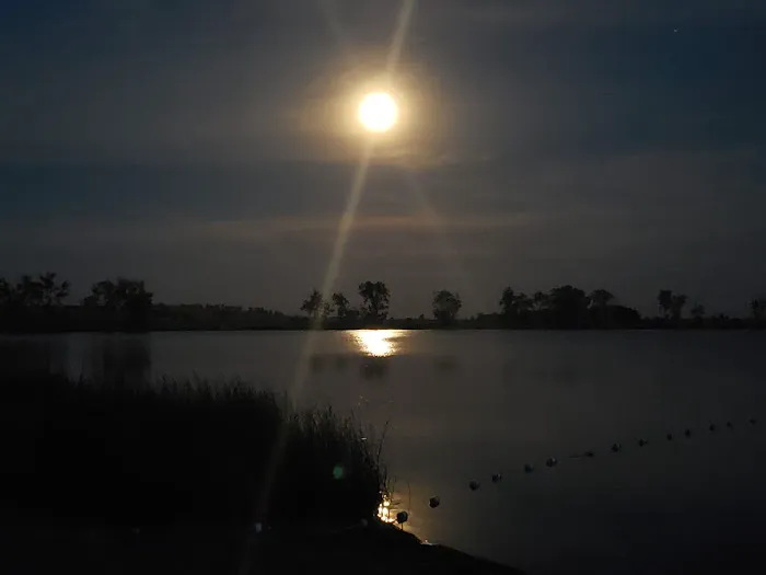 Camp Good News Picture 1