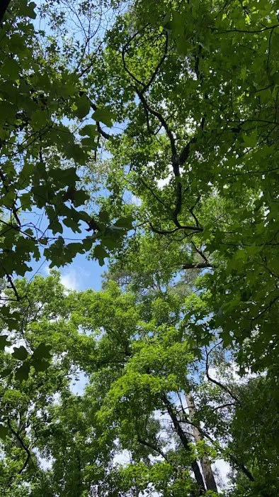 S13 Campsite with Shelter Picture 1