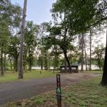 Campsite with Shelter #11