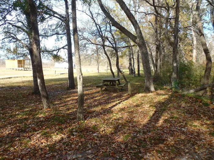 Coleman's Campgrounds Picture 7