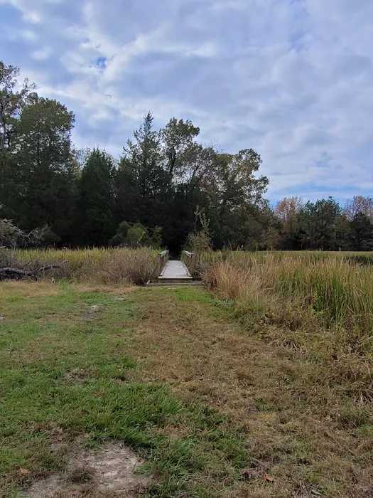 Post Oak Point Camp Site Picture 7