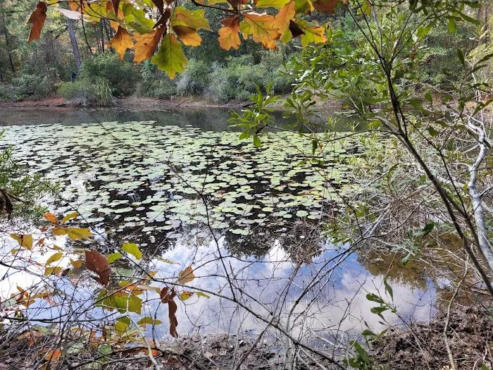 Post Oak Point Camp Site Picture 8