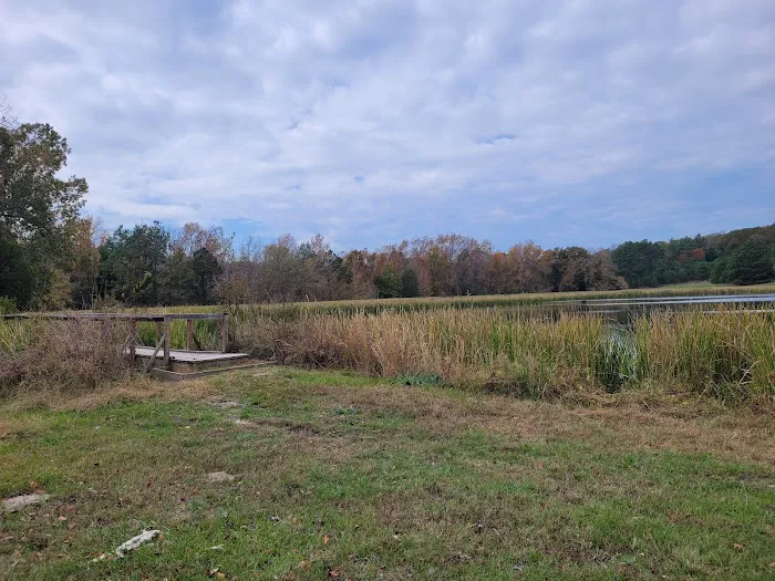 Post Oak Point Camp Site Picture 4