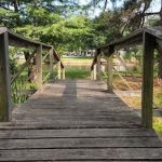 Camp Trevor Rees-Jones Trading Post