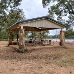 Cypress Knee Camp Site