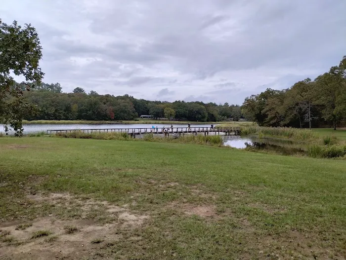 Cypress Knee Camp Site Picture 4