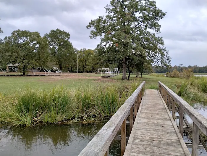 Cypress Knee Camp Site Picture 6