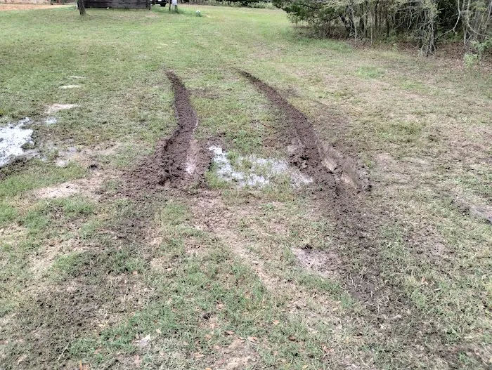 Cypress Knee Camp Site Picture 10