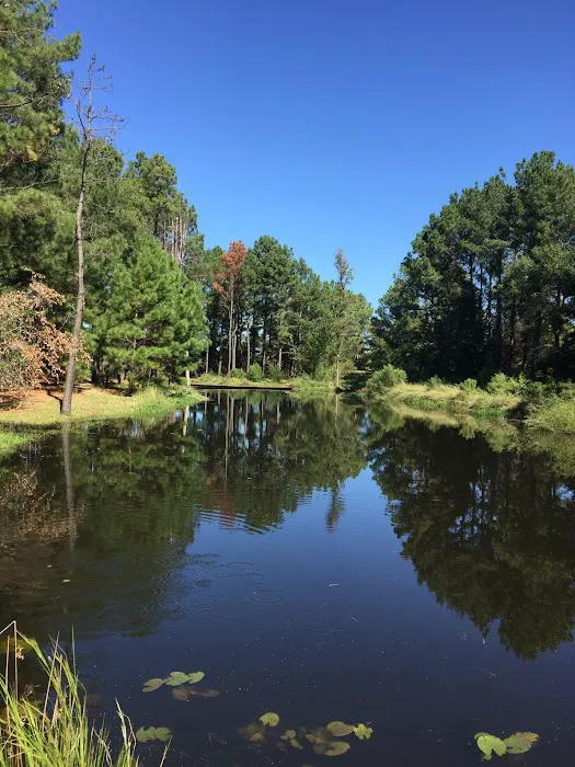Bluegill lake cabins Picture 7