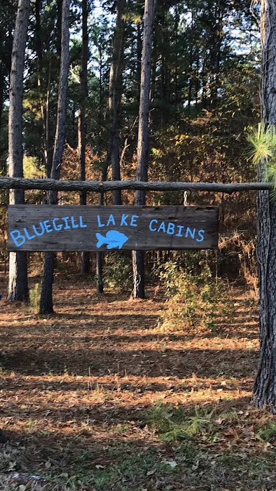 Bluegill lake cabins Picture 5