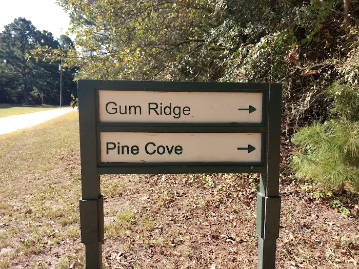Gum Ridge Camp Site Picture 3
