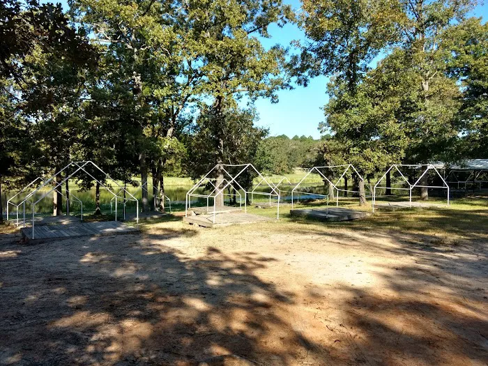 Gum Ridge Camp Site Picture 5