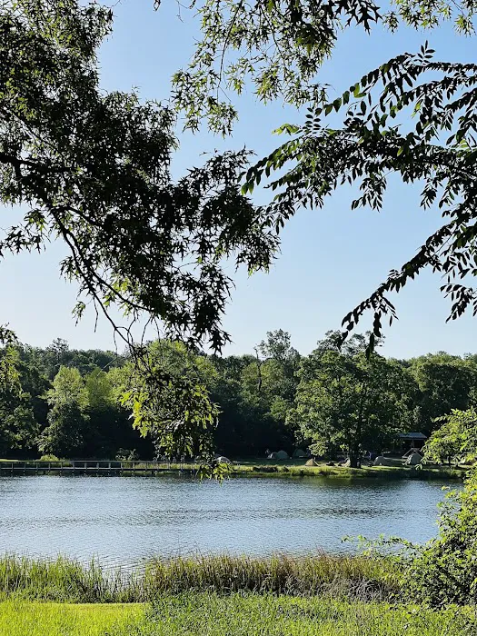 Dogwood Ridge Camp Site Picture 3
