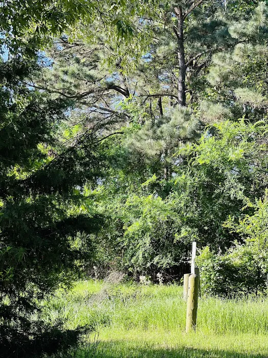 Dogwood Ridge Camp Site Picture 5