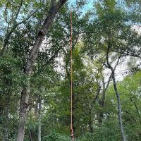 Woodsy Cove Cabins ico