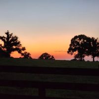 McCarter Farm ico