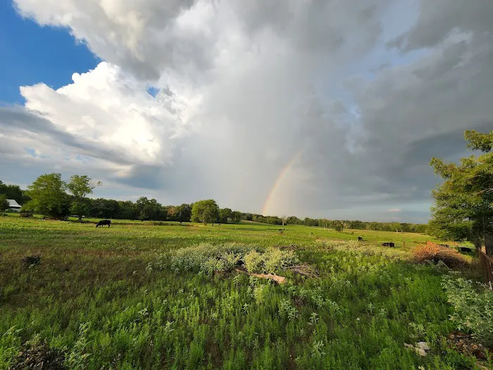 McCarter Farm Picture 5