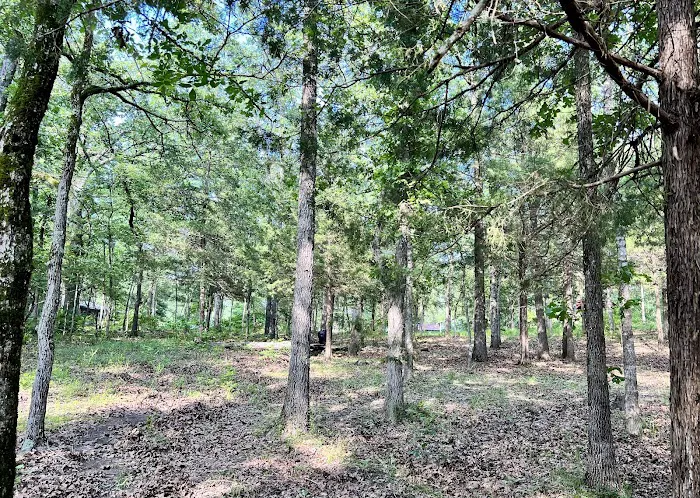 Focus Pointe Base Camp Picture 8