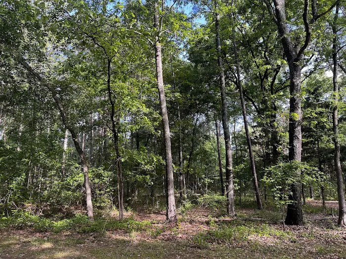 Moccasin Track Camping Area, Water & Electric Sites, plus Cottages Picture 8