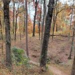 Cherokee Trace Camping Area, Water and Electric Sites