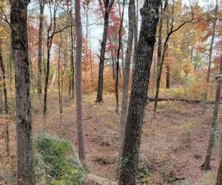 Cherokee Trace Camping Area, Water and Electric Sites