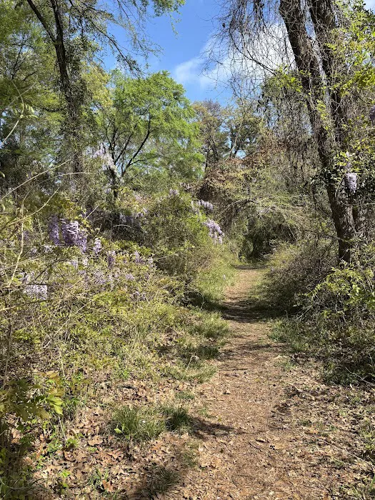 Fort Sherman Camping Area, Water and Electric Sites Picture 2