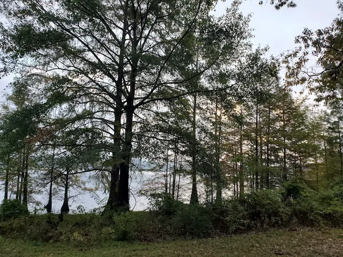 Corney Lake Campground Picture 4