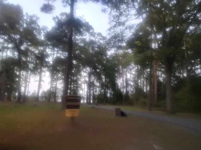 Corney Lake Campground Picture 1