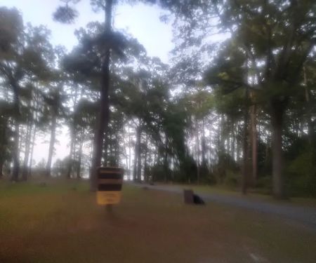 Corney Lake Campground