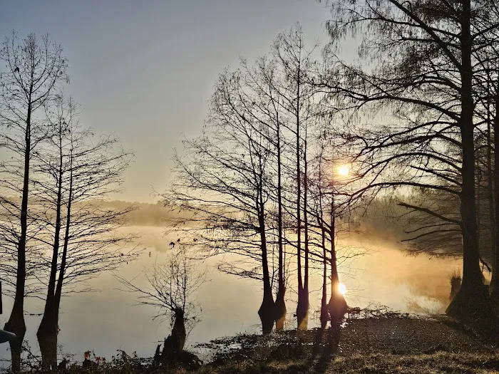 Corney Lake Campground Picture 5