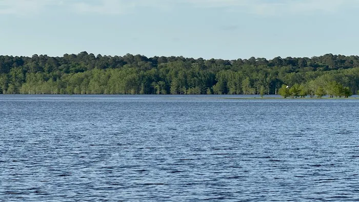 Corney Lake Campground Picture 2