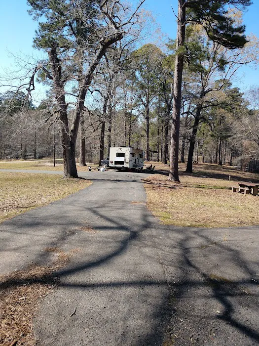 Corney Lake Campground Picture 10