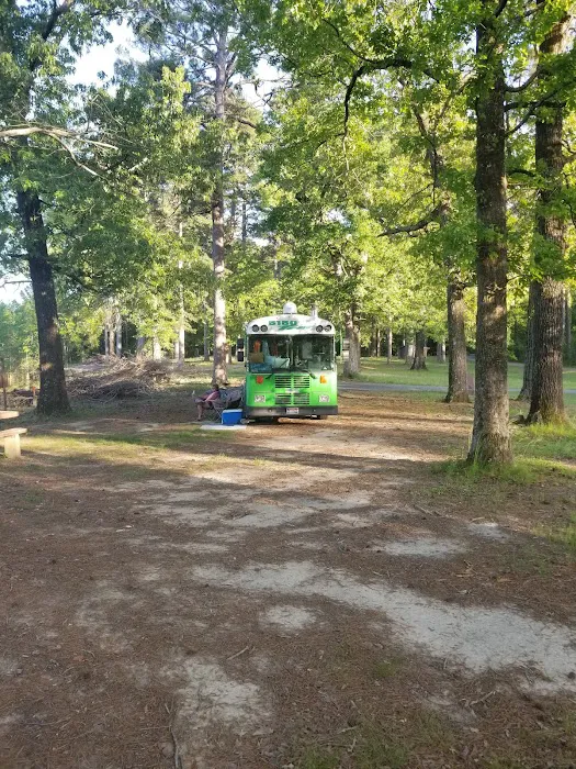 Corney Lake Campground Picture 9