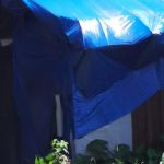 Forest Edge Farm LLC