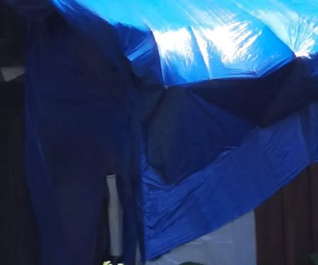 Forest Edge Farm LLC