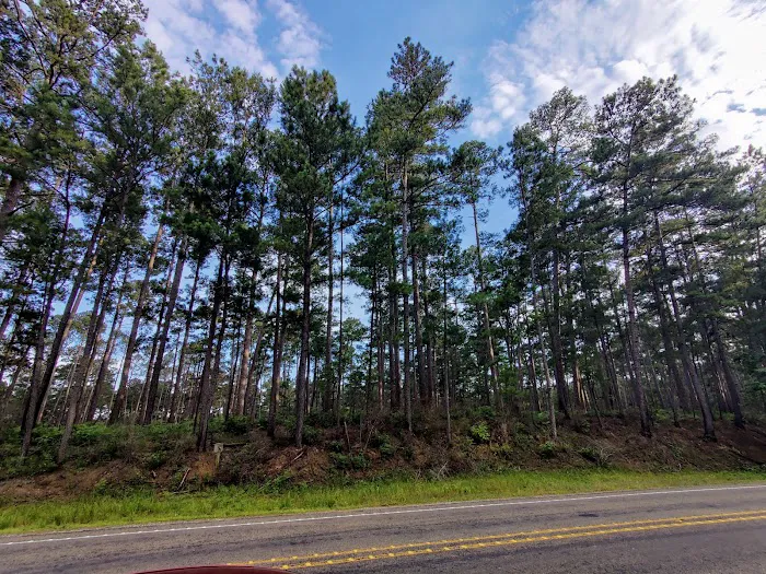 SAM HOUSTON (Houston/Conroe/Huntsville Area) Picture 10
