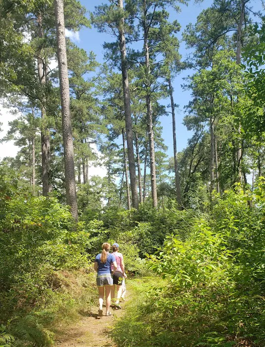 SAM HOUSTON (Houston/Conroe/Huntsville Area) Picture 5