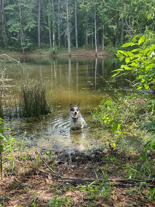 Kelly's Pond Motorized Campground Picture 5