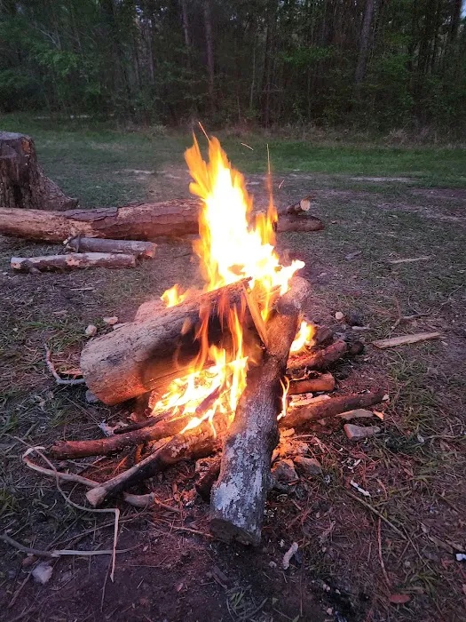 Kelly's Pond Motorized Campground Picture 4