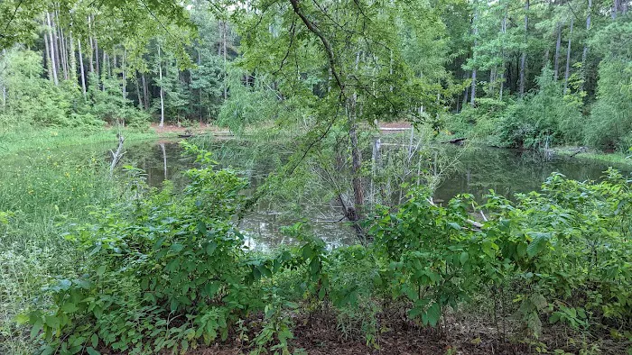 Kelly's Pond Motorized Campground Picture 1