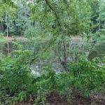 Kelly's Pond Motorized Campground