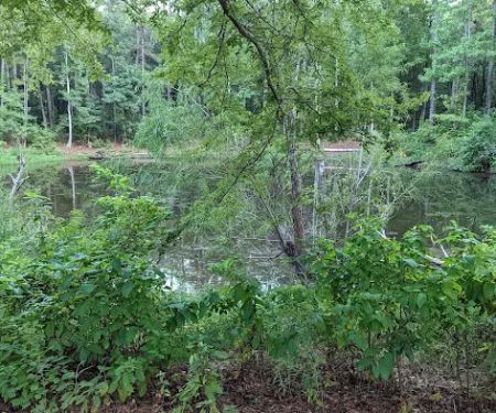 Kelly's Pond Motorized Campground