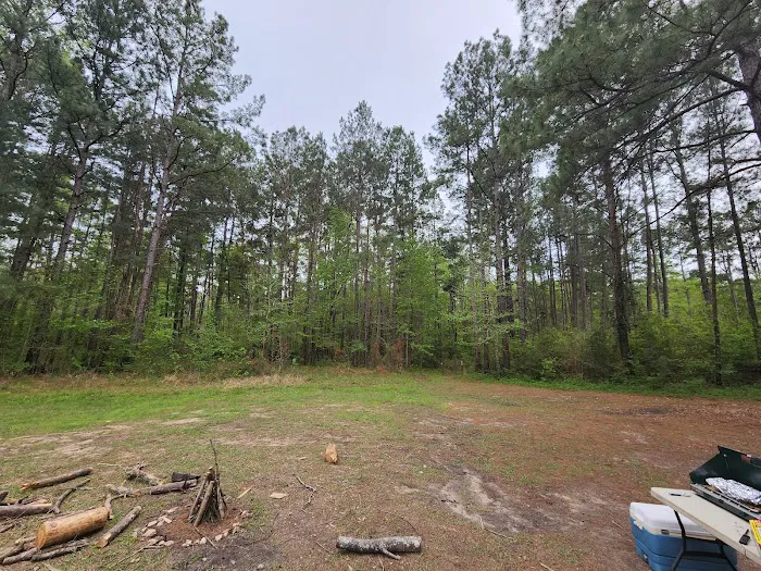 Kelly's Pond Motorized Campground Picture 10