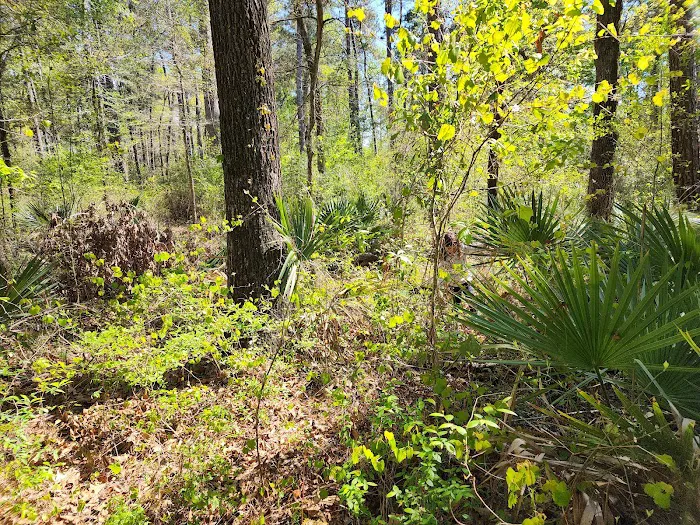 Kelly's Pond Motorized Campground Picture 6